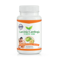 Garcinia Cambogia Forte 1000 mg (extrait pur)